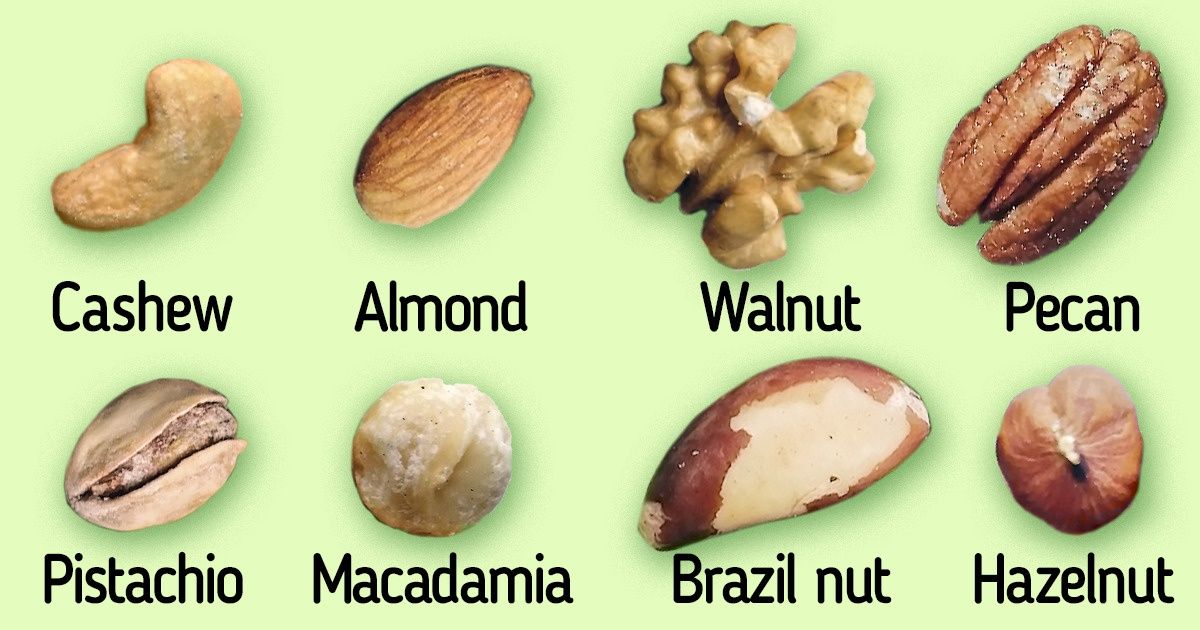 How Many Different Types Of Nuts Are There In The World at Kathleen