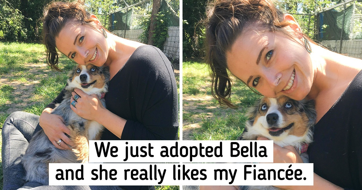 15 Pics That Prove Animals Can Feel Love Like You Do / 5Minute Crafts