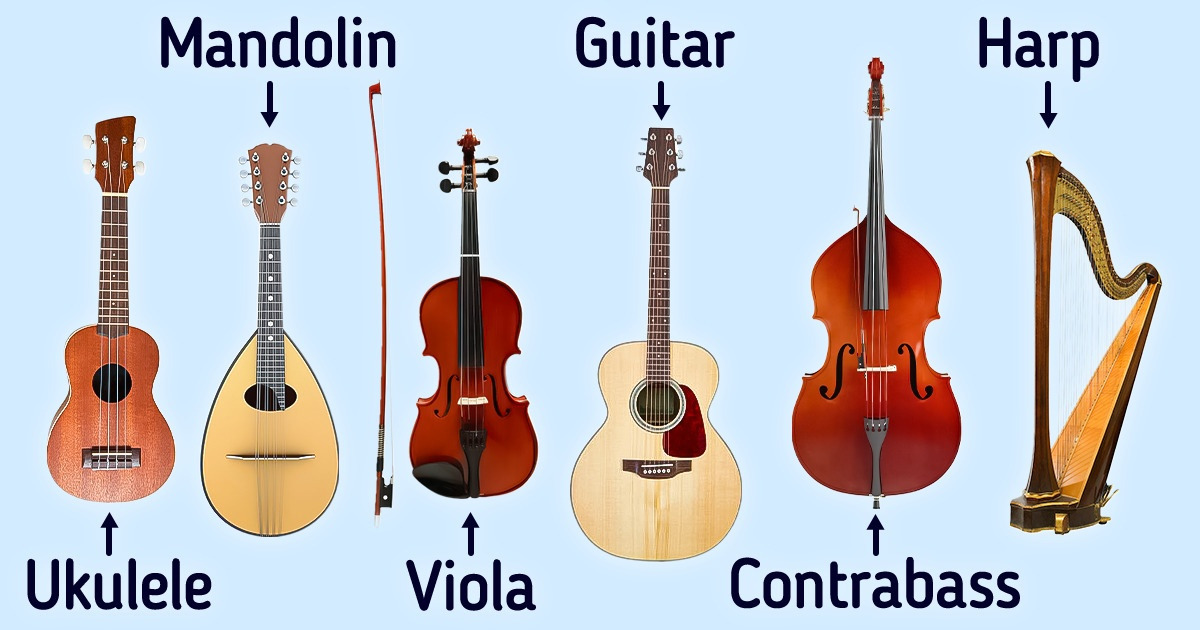 A Guide to Stringed Musical Instruments / 5-Minute Crafts