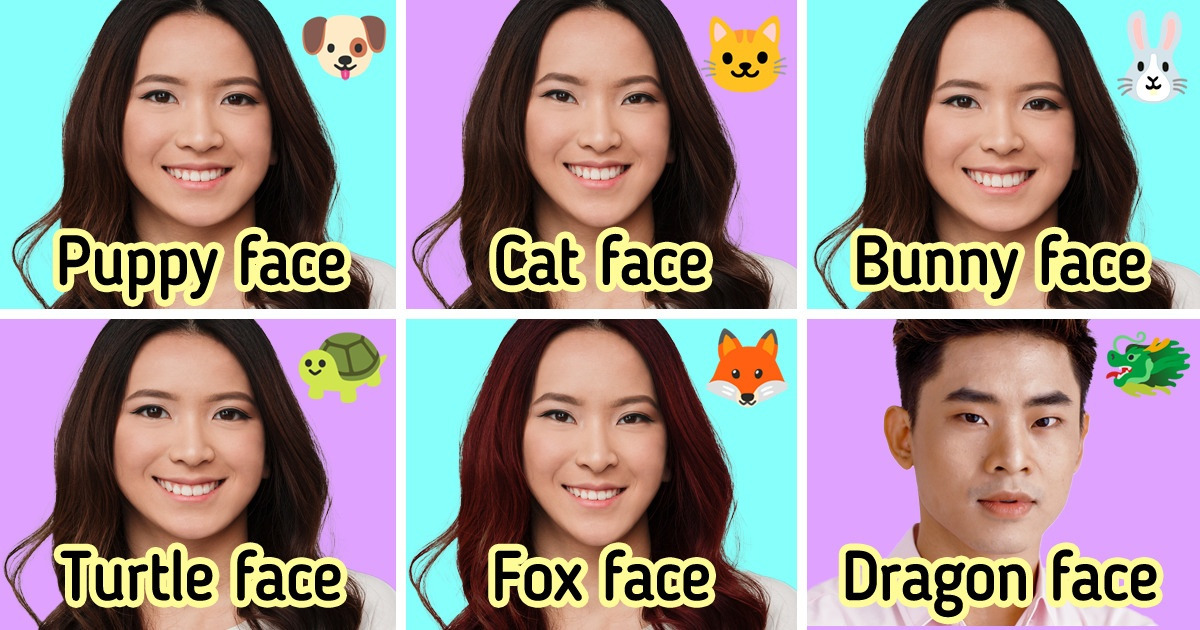 In South Korea People Compare Animals With Human Faces