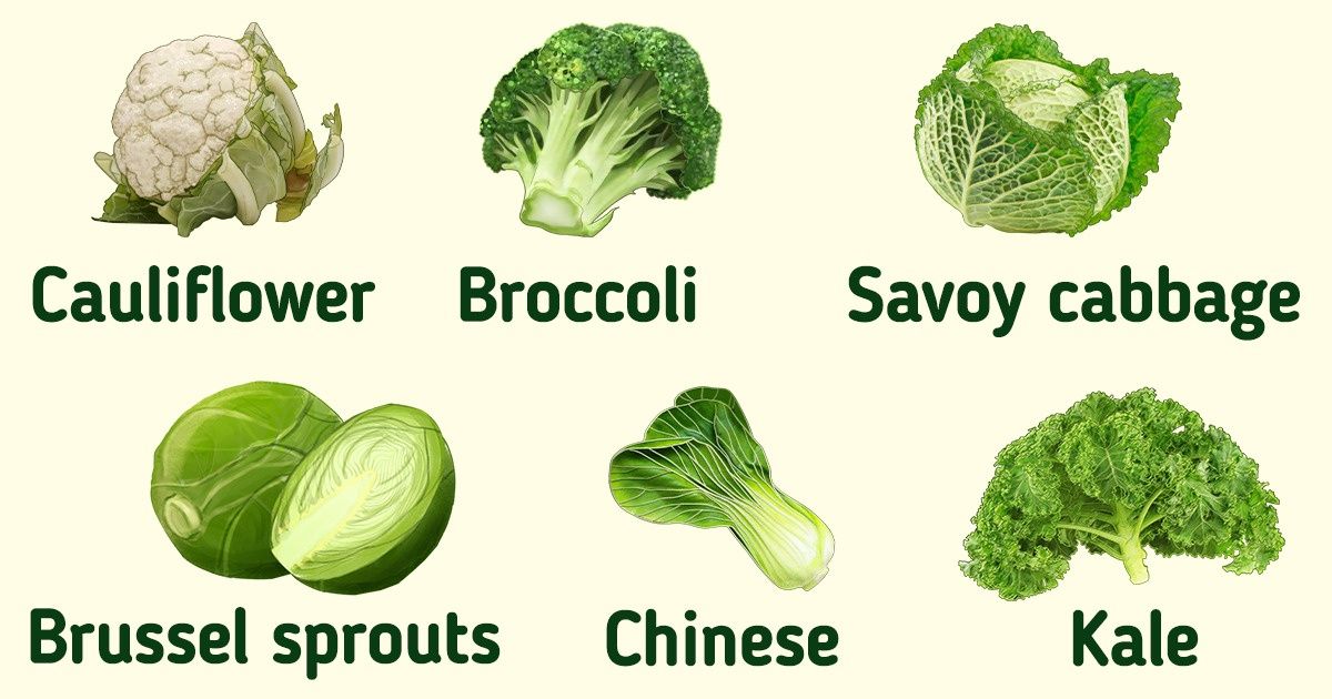 How to Choose the Right Kind of Cabbage