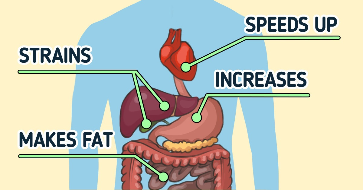 What Happens to the Body When We Eat Too Much