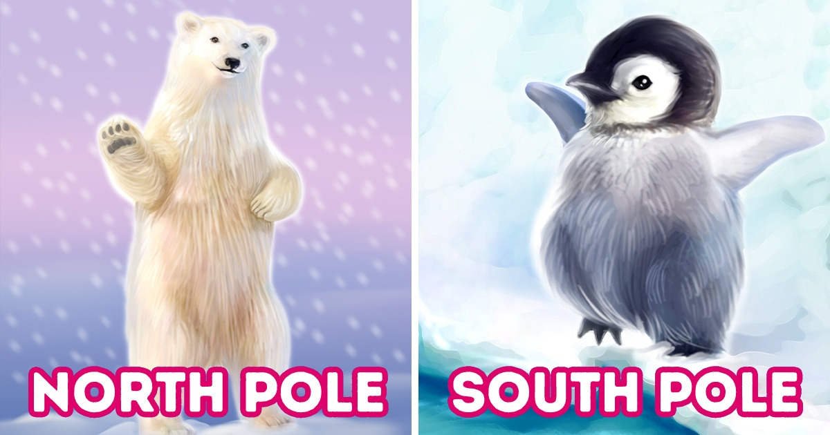 What Is Difference Between North Pole And South Pole