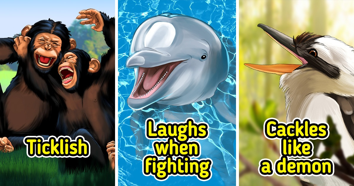 The Animals That Can Laugh