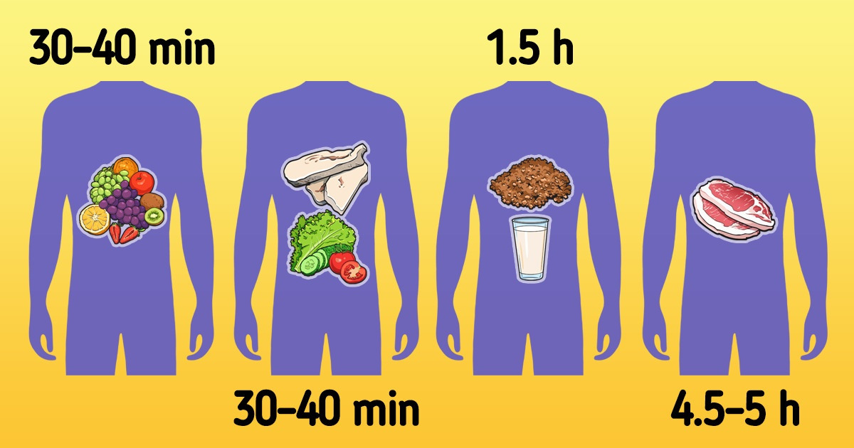 Why It’s Important to Know How Much Time Certain Foods Take to Digest