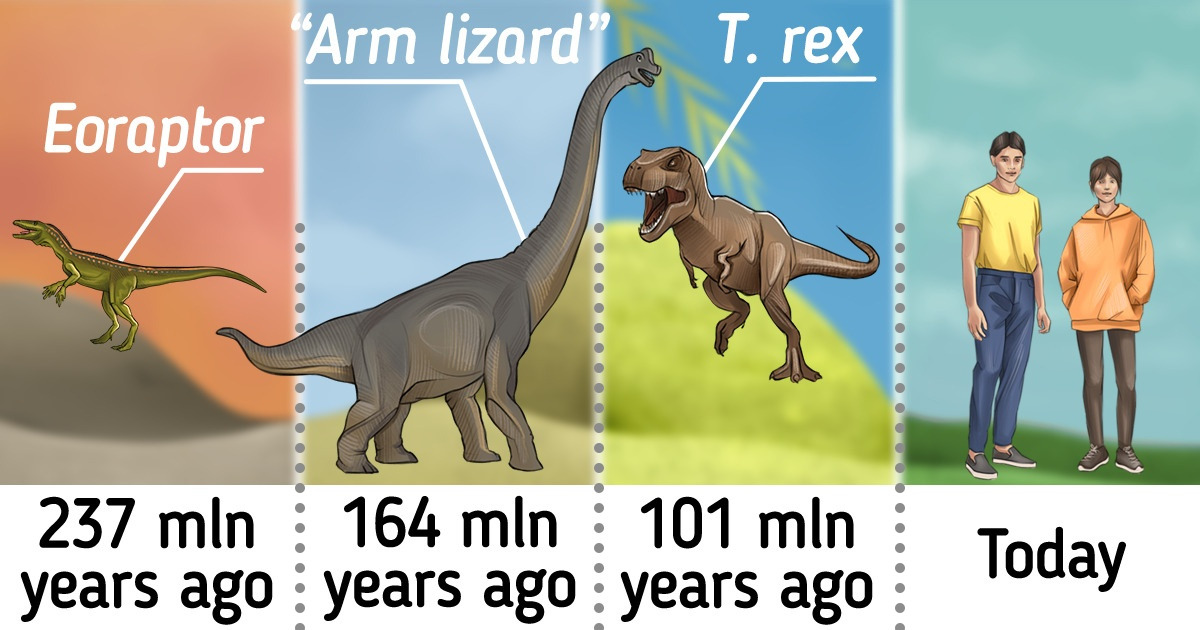 Types of Dinosaurs You Ought to Know About