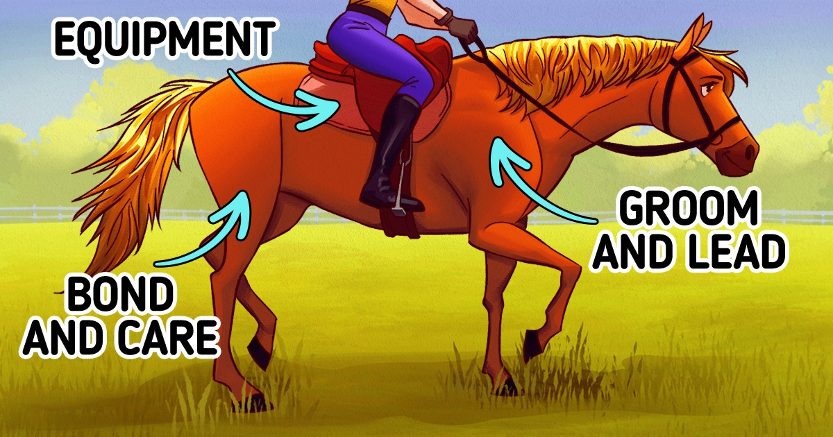 How to Ride a Horse Safely