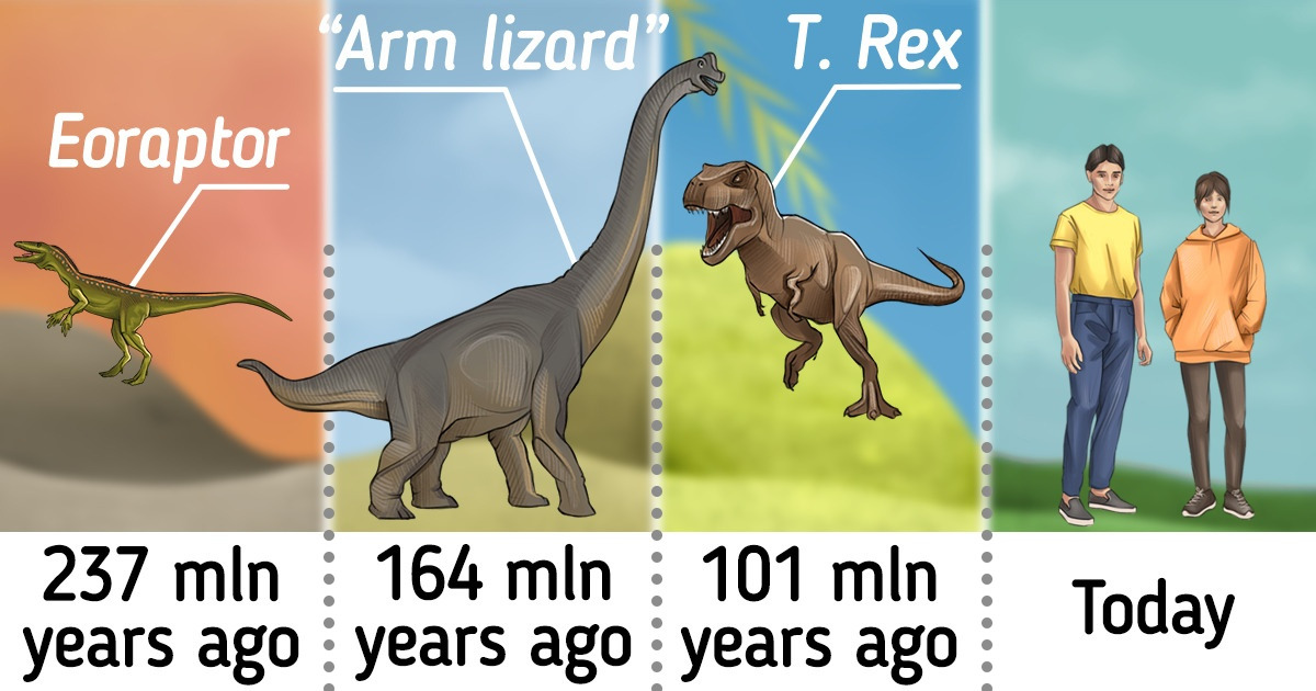 A Guide to the Different Types of Dinosaurs