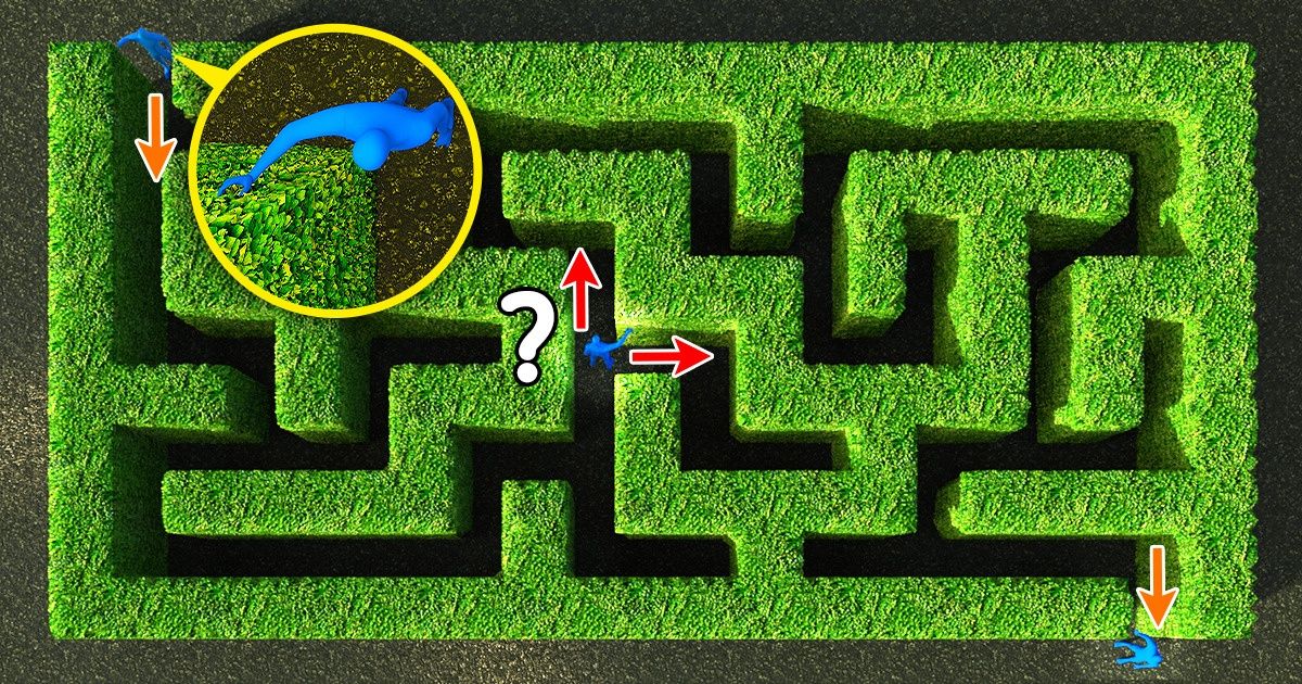 How to Find a Way Out of Any Maze