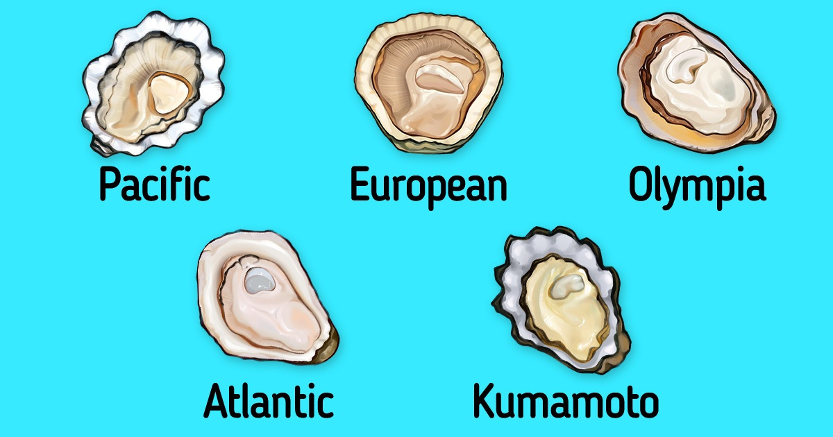Different Kinds of Oysters, and What You Should Know About Them