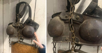 15 Things Whose Purposes Were a Mystery Until the Internet Stepped in and Helped Identify Them
