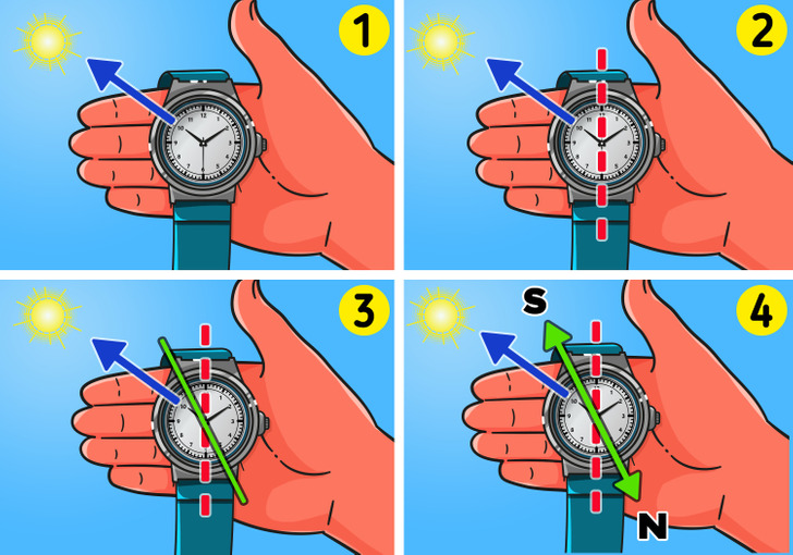 how-to-find-north-without-a-compass-5-minute-crafts