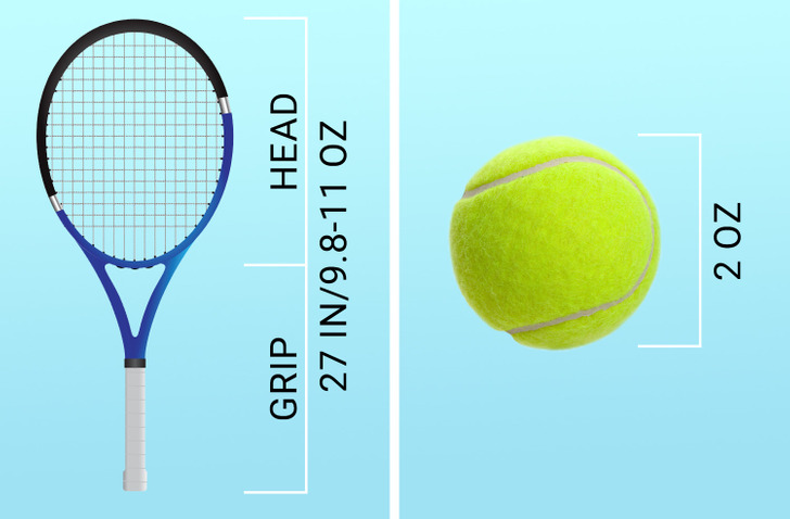 Een evenement gemakkelijk Voorwaarden What the Differences Between Tennis, Badminton, and Squash Are / 5-Minute  Crafts