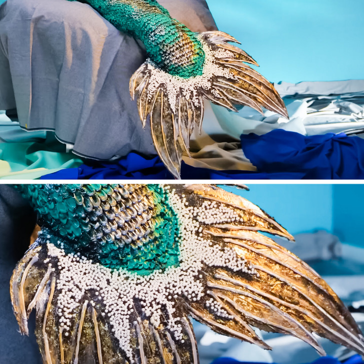 Create Your Own DIY Mermaid Tail with This Magical Step-by-Step Guide ...