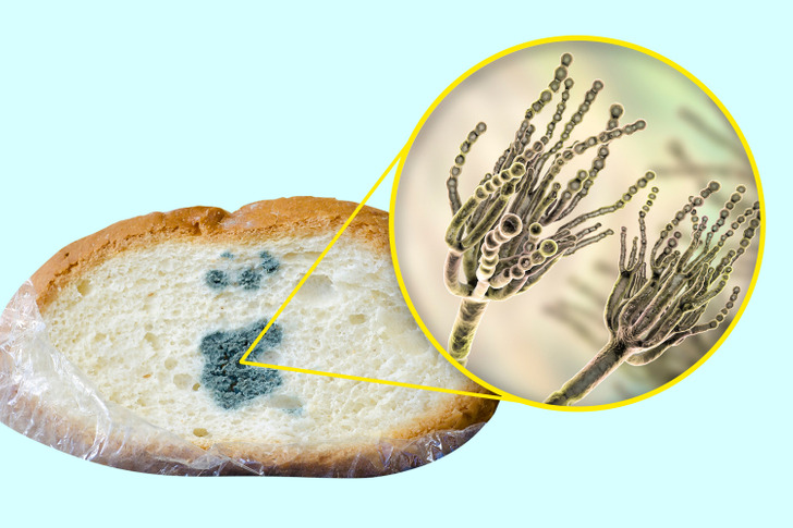 What Happens if You Eat Moldy Bread