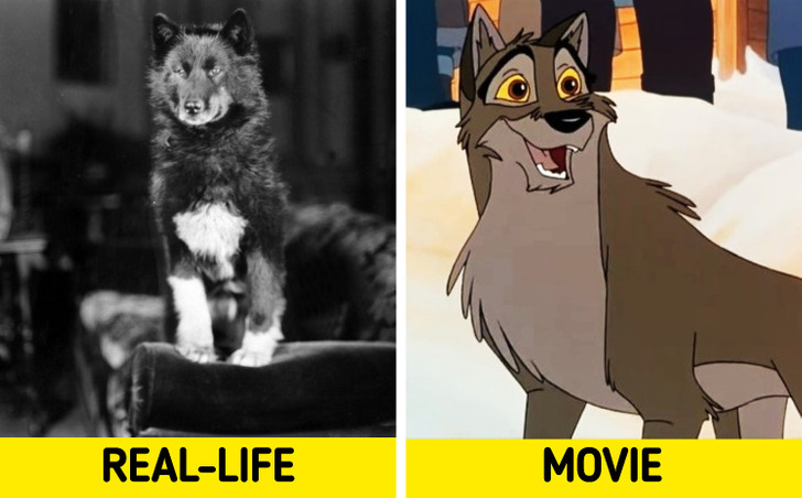 The True Story Behind “Balto” Is Even More Intense Than The Animated Film