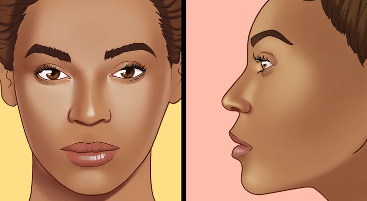 nose types shapes