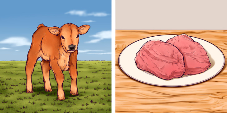 The Difference Between Veal and Beef