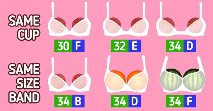 Bra sister sizes  How different bra bands can have the same cup
