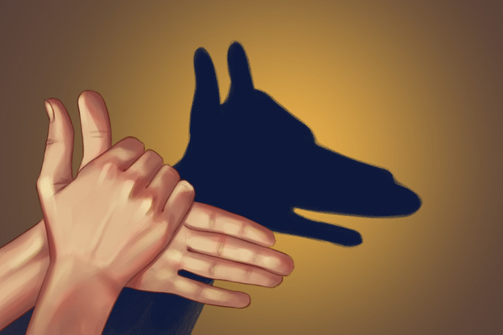 How to Make Hand Shadows